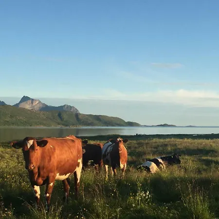 Holiday home Vaag Steigen