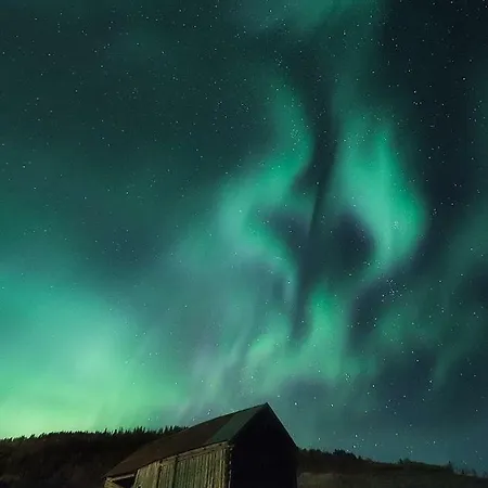 Vaag Holiday home Steigen